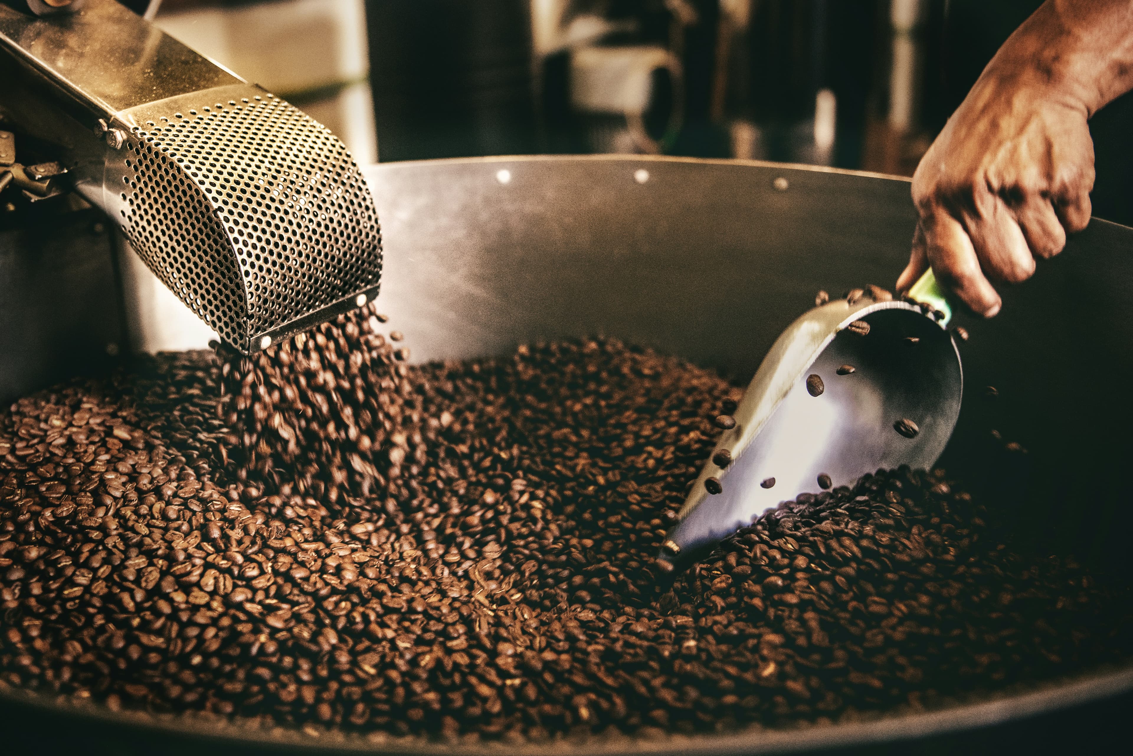 Schwarz-weiße Keramikfischfigur auf dunklen Kaffeebohnen